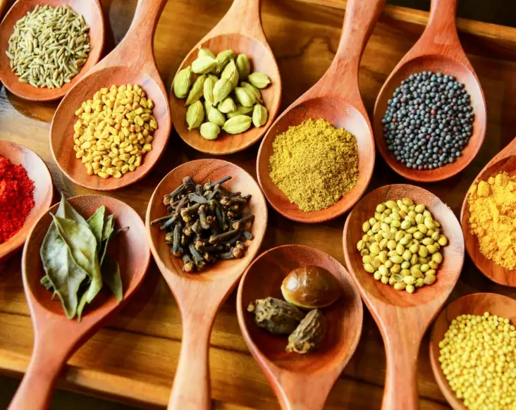how to use Indian spices