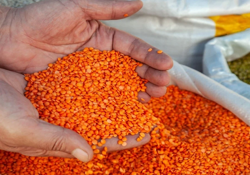 dhal vs lentil dhal vs lentil