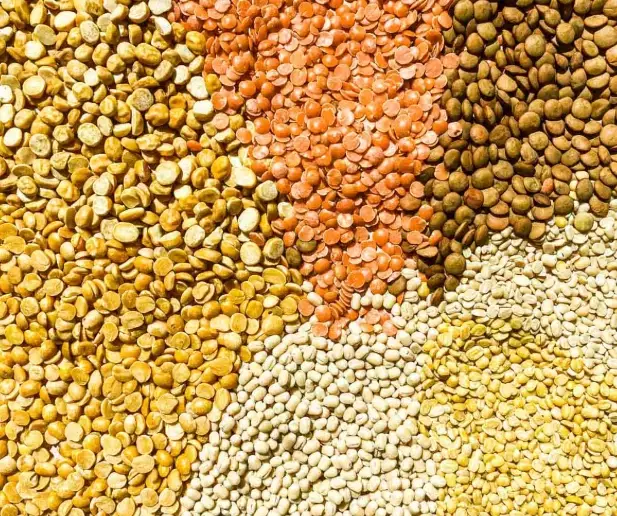 types of dal
