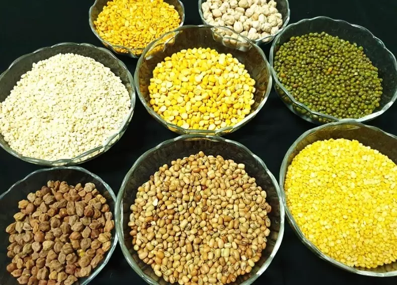 lentil types